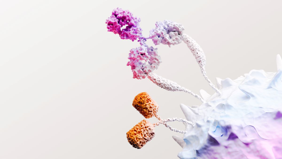 Immuno Oncology Science Grafik