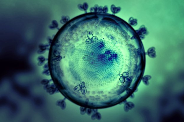 HIV Virus Nahaufnahme