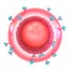 HIV Virus Animation