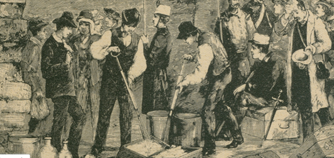 Bild Seuchenausstellung