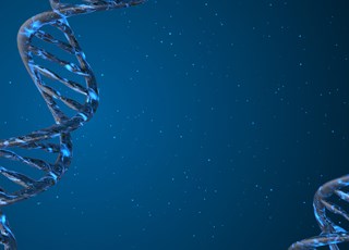 DNA-Stränge