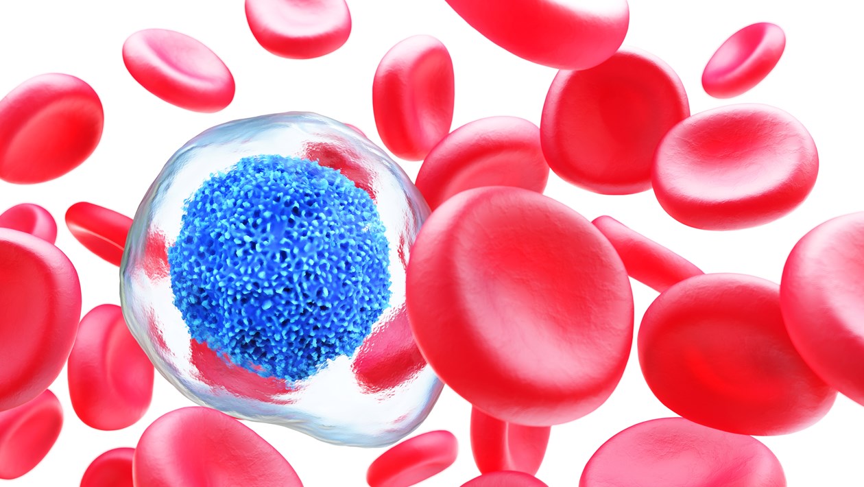 Rote Blutkörperchen und Krebszelle