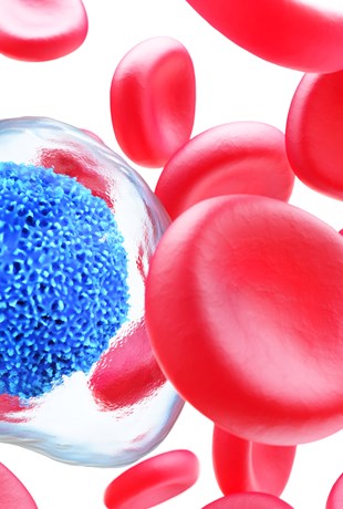 Rote Blutkörperchen und Krebszelle