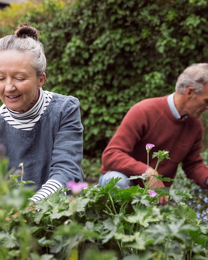 Älteres Paar bei der Gartenarbeit