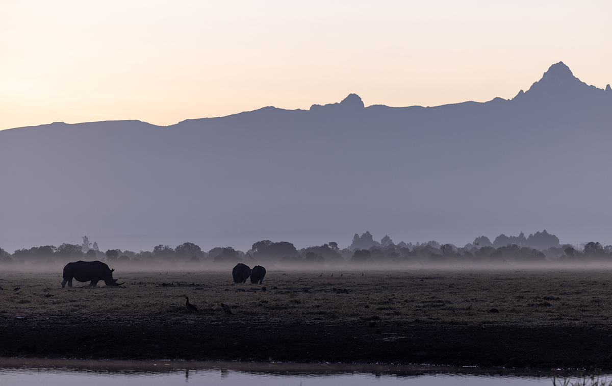 Blick auf den Mount Kenya nach unser Rückkehr