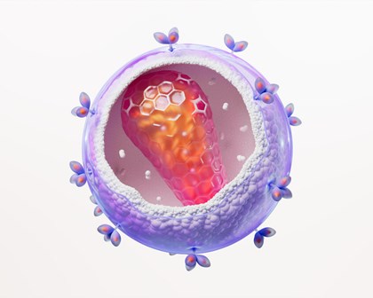 HIV Science Grafik