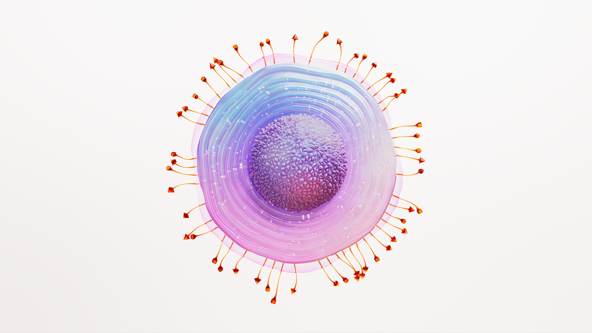 Varizella Zoster Virus