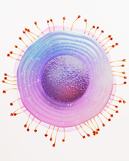 Varizella Zoster Virus