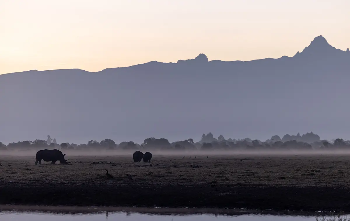 Blick auf den Mount Kenya nach unser Rückkehr