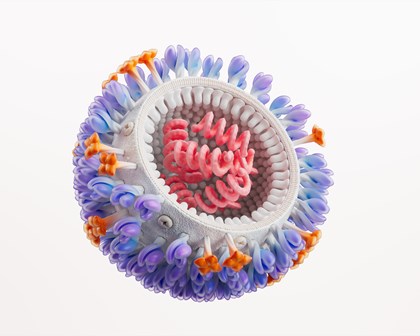 Influenza Virus