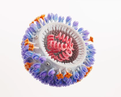 Influenza Virus