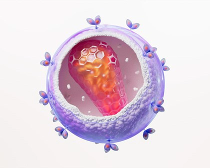 HI Virus