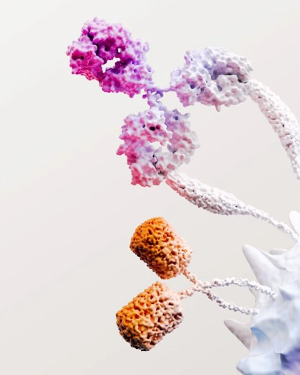 Immuno Oncology Science Grafik