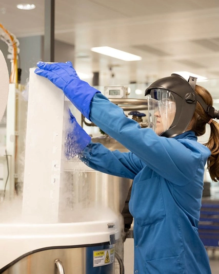 Labormitarbeiterin bei der Arbeit